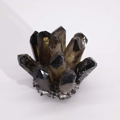 Smoky Phantom Quartz Cluster