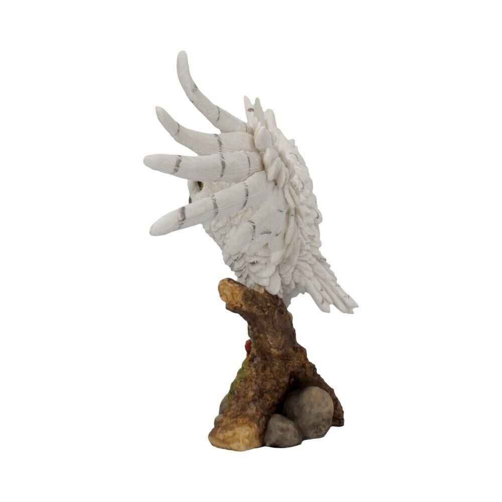 Nemesis Now Snowy Rest Owl Figurine Fantasy Wildlife Witchy Gifts