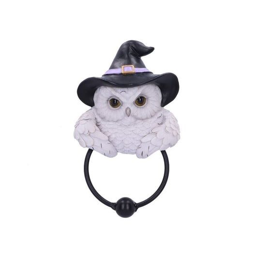 Snowy Magic Owl Door Knocker Witches Hat Gothic Pagan Nemesis Now Fantasy Decor