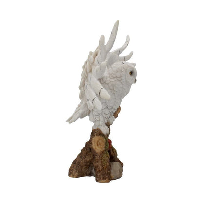 Nemesis Now Snowy Rest Owl Figurine Fantasy Wildlife Witchy Gifts