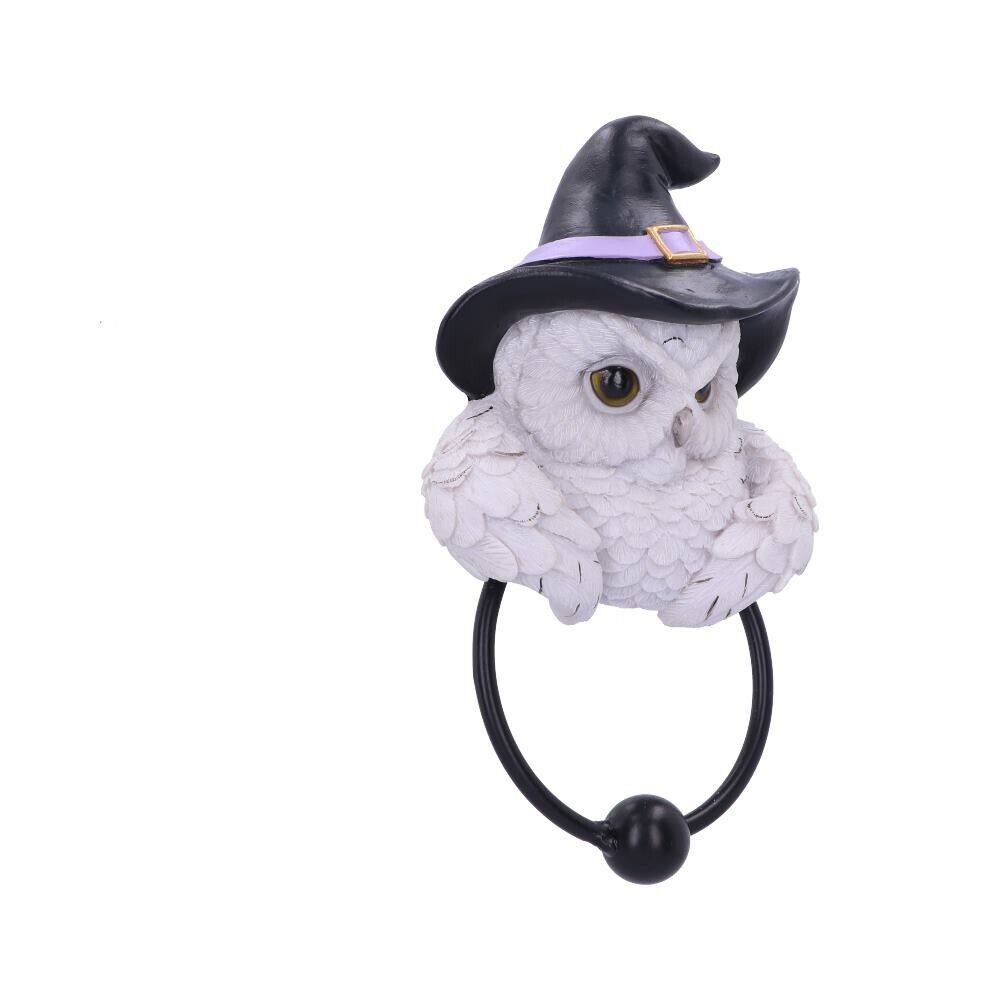 Snowy Magic Owl Door Knocker Witches Hat Gothic Pagan Nemesis Now Fantasy Decor