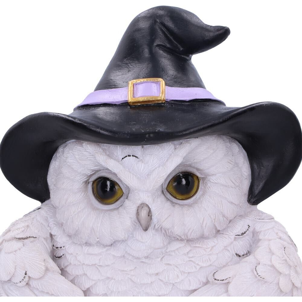 Snowy Magic Owl Door Knocker Witches Hat Gothic Pagan Nemesis Now Fantasy Decor