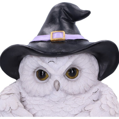 Snowy Magic Owl Door Knocker Witches Hat Gothic Pagan Nemesis Now Fantasy Decor