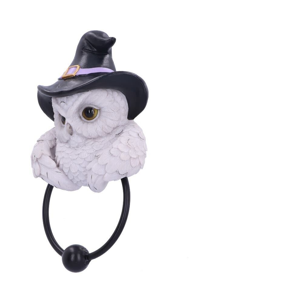 Snowy Magic Owl Door Knocker Witches Hat Gothic Pagan Nemesis Now Fantasy Decor