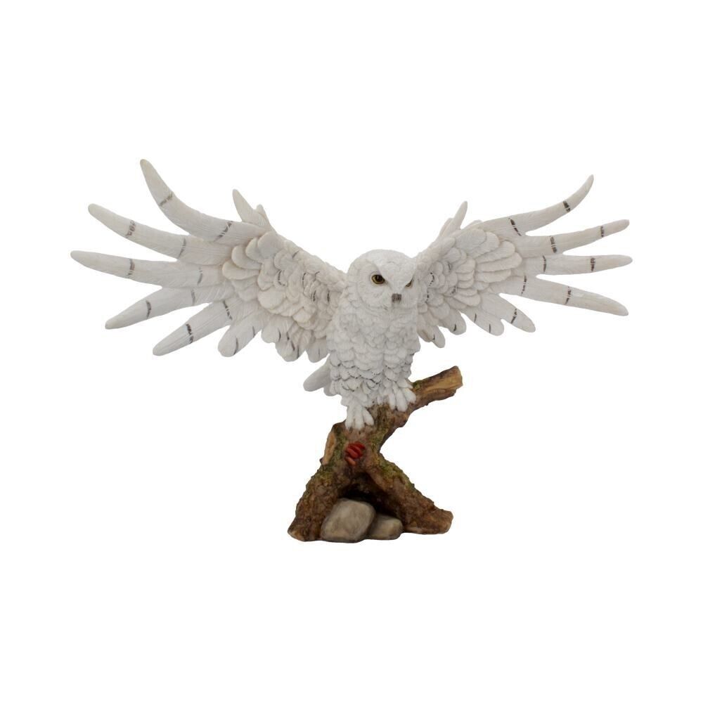 Nemesis Now Snowy Rest Owl Figurine Fantasy Wildlife Witchy Gifts