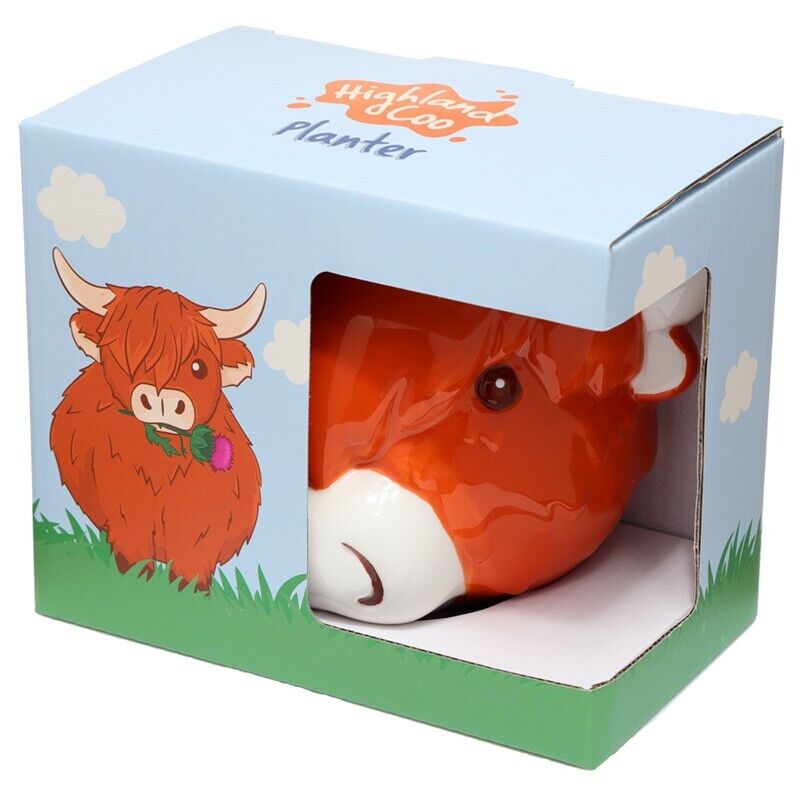 Highland Coo Cow Ceramic Plant Pot Wall Planter Farmyard Cute Boxed Gift