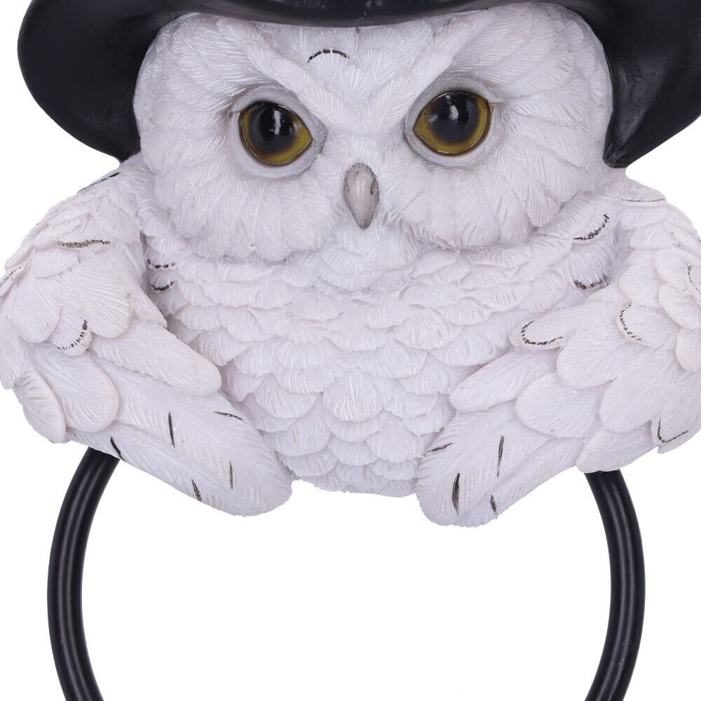 Snowy Magic Owl Door Knocker Witches Hat Gothic Pagan Nemesis Now Fantasy Decor