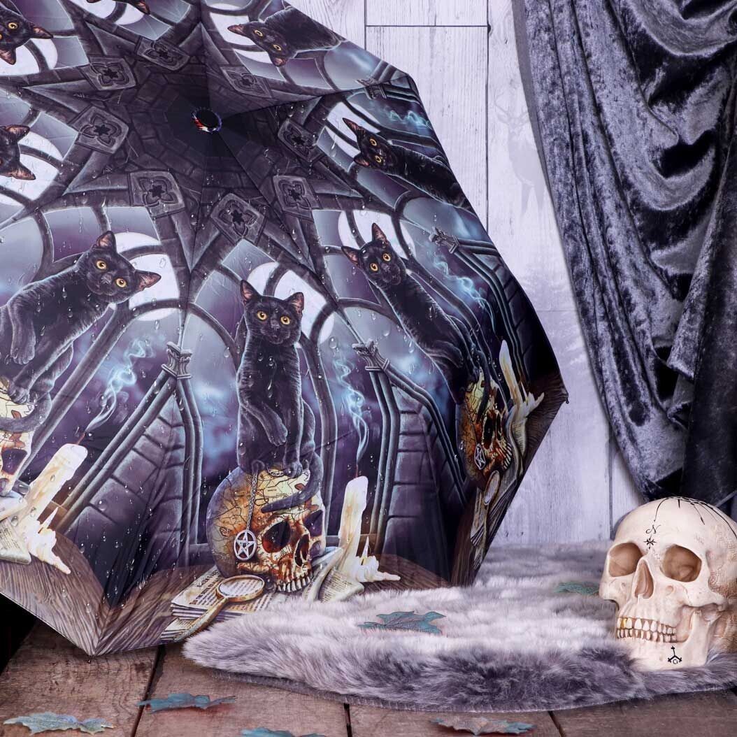 Spirits of Salem Telescopic Umbrella Lisa Parker Black Cat Witch Skull Nemesis