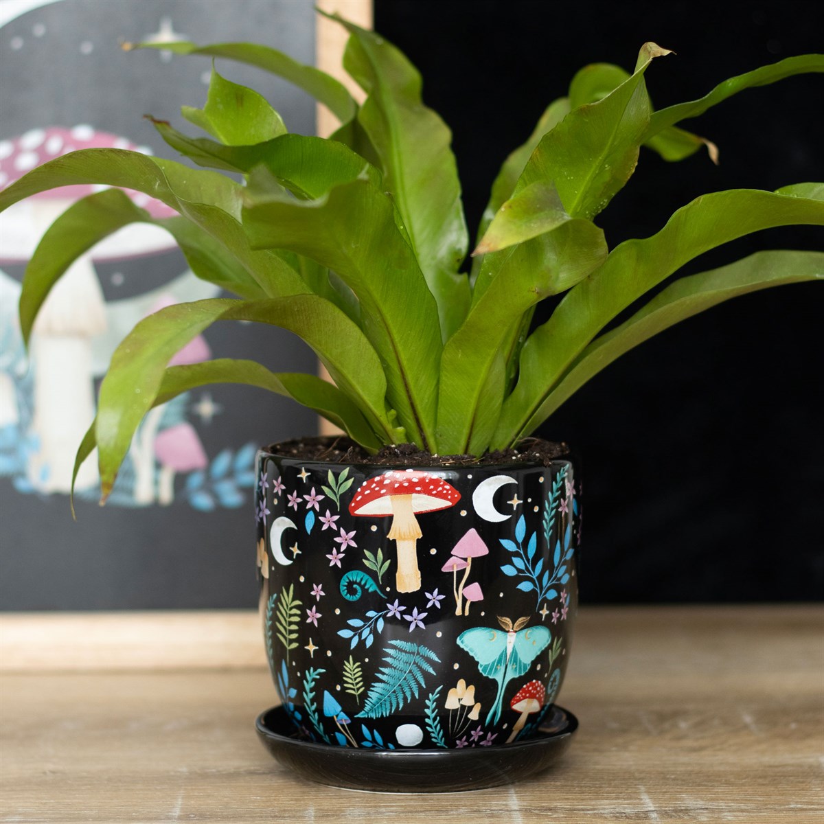 Dark Forest Plant Pot