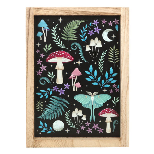 Dark Forest Framed Print