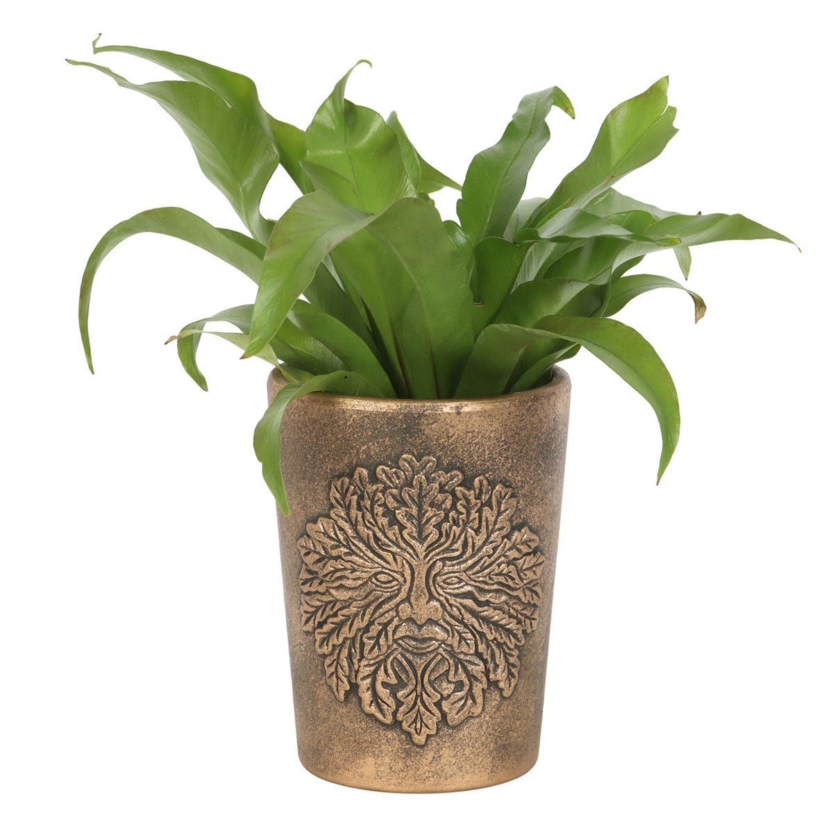 Green Man Terracotta Plant Pot