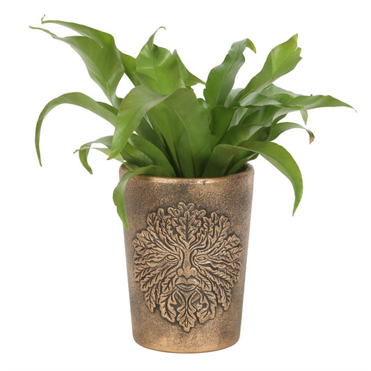 Green Man Terracotta Plant Pot