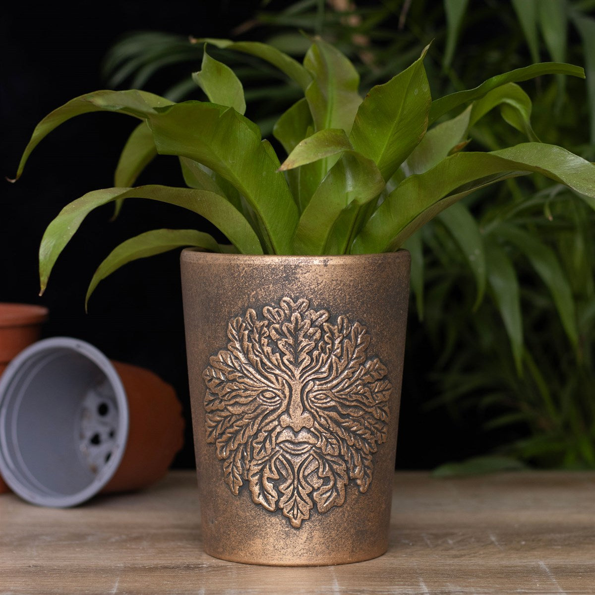 Green Man Terracotta Plant Pot