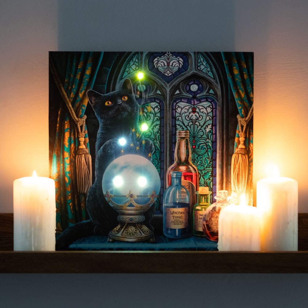 The Witches Apprentice Light Up Canvas