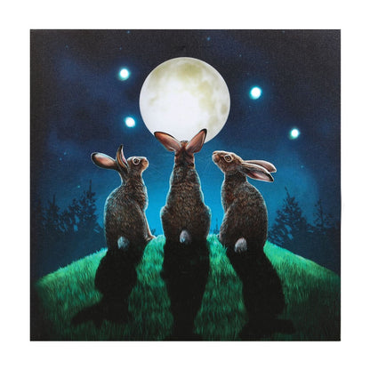 Moon Shadows LED Canvas Plaque