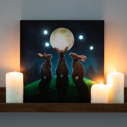 Moon Shadows LED Canvas Plaque