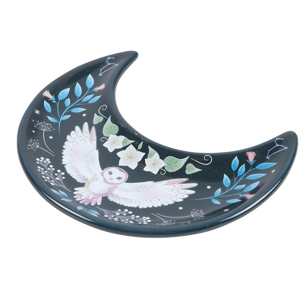 Night Flight Owl Trinket Dish