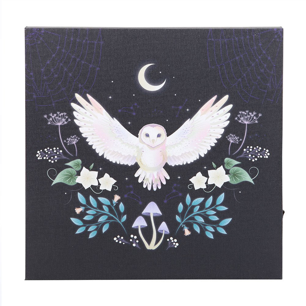 Night Owl Light Up Canvas Plaque