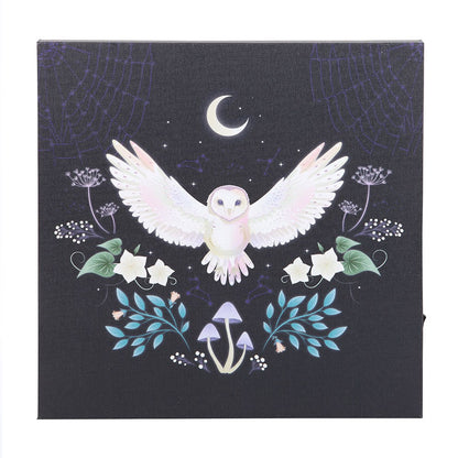 Night Owl Light Up Canvas Plaque