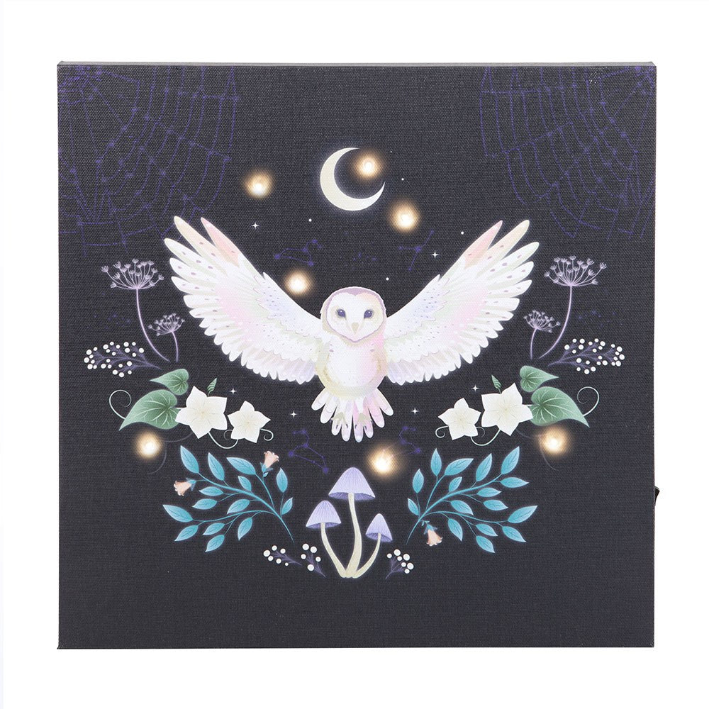 Night Owl Light Up Canvas Plaque