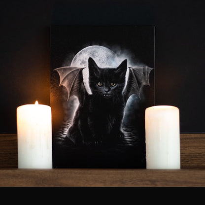 Bat Cat Canvas Plaque