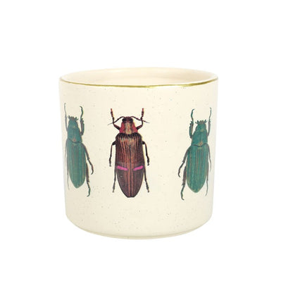 Off White Beetle Plant Pot