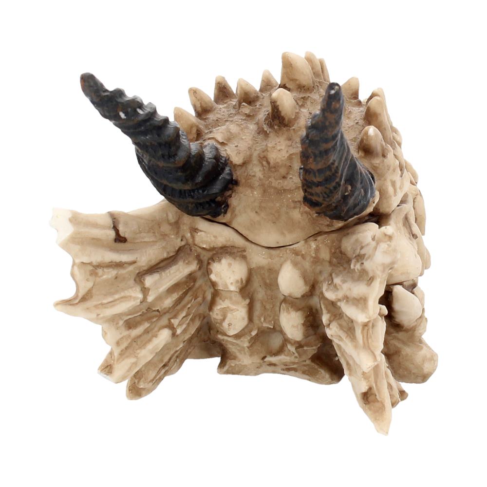 Dragon Skull Trinket Box