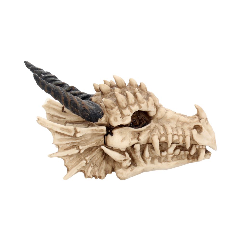 Dragon Skull Trinket Box