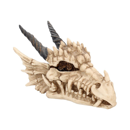 Dragon Skull Trinket Box