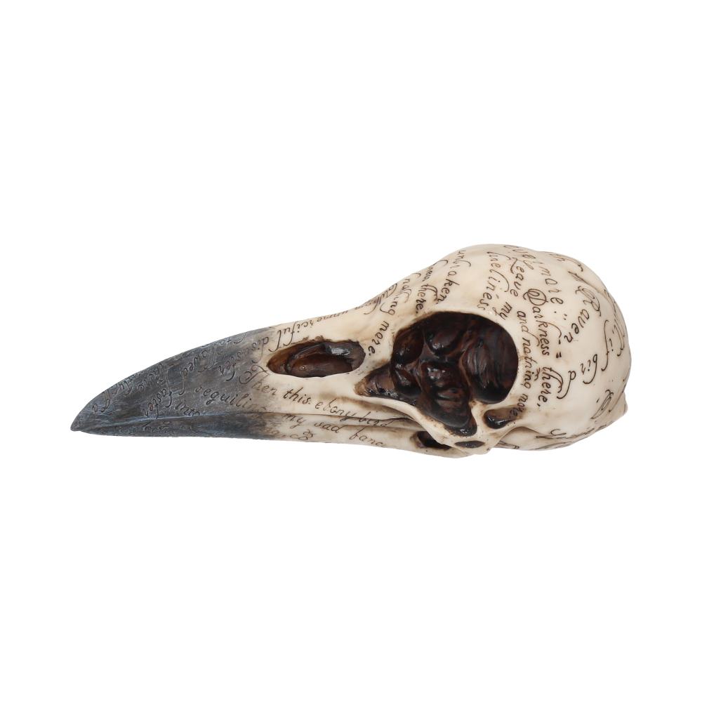 Edgar's Raven Skull