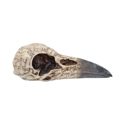 Edgar's Raven Skull