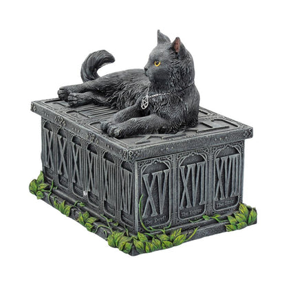 Fortune's Watcher Black Cat Tarot Box