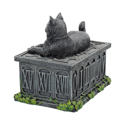 Fortune's Watcher Black Cat Tarot Box