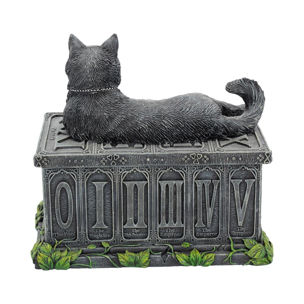 Fortune's Watcher Black Cat Tarot Box