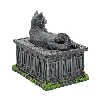 Fortune's Watcher Black Cat Tarot Box