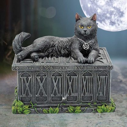 Fortune's Watcher Black Cat Tarot Box