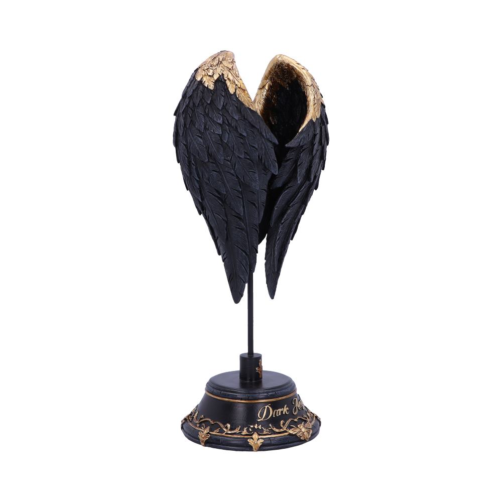 Dark Angel Wings