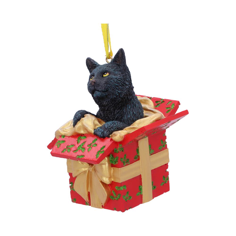 Present Cat Hanging Ornament