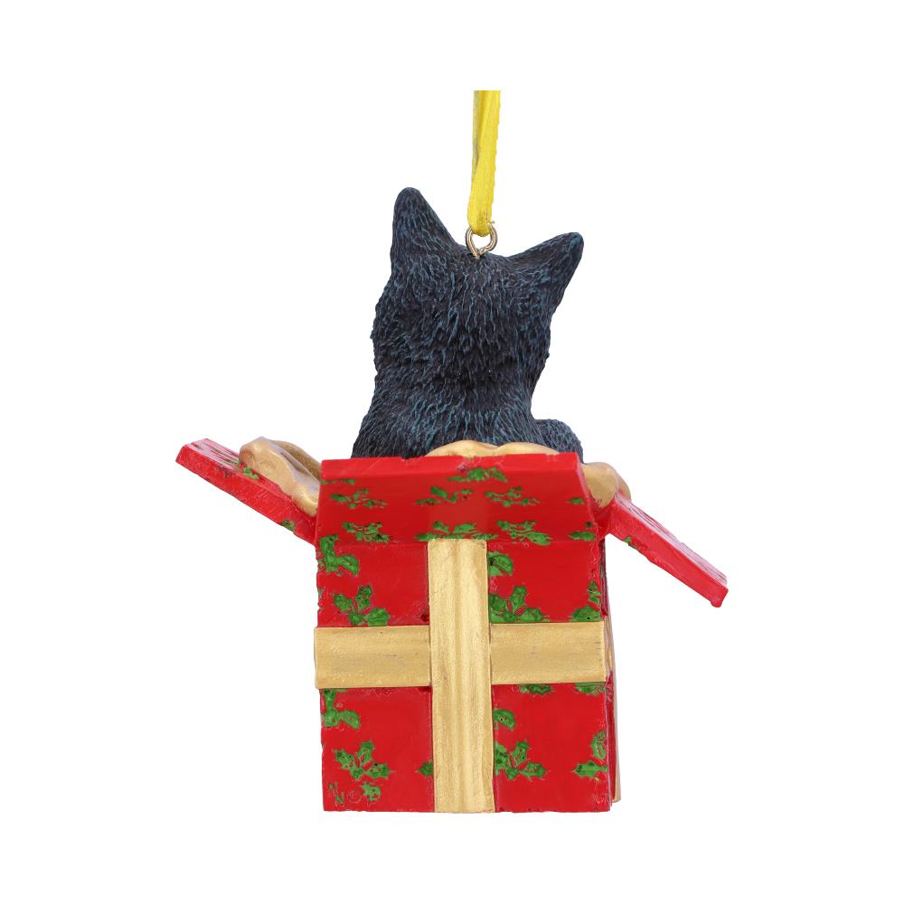 Present Cat Hanging Ornament