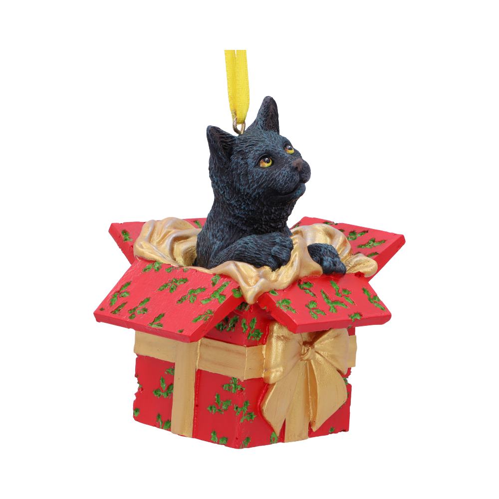 Present Cat Hanging Ornament