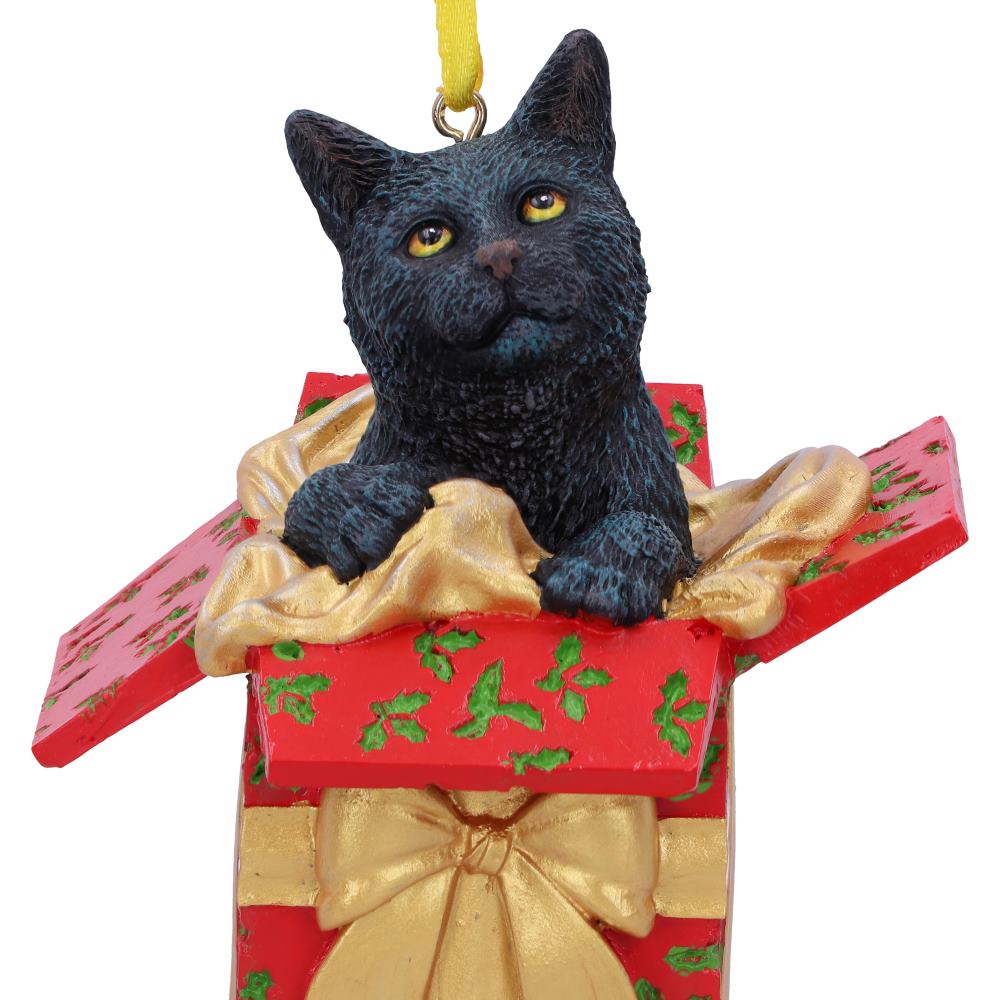 Present Cat Hanging Ornament