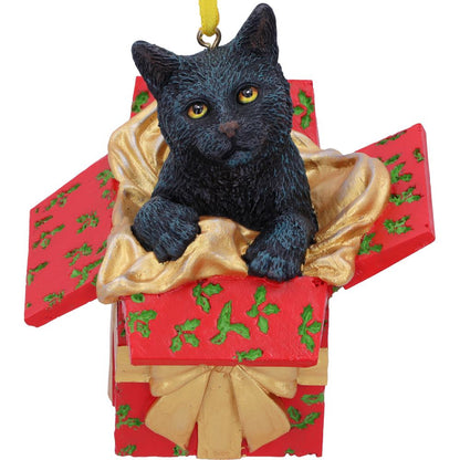 Present Cat Hanging Ornament