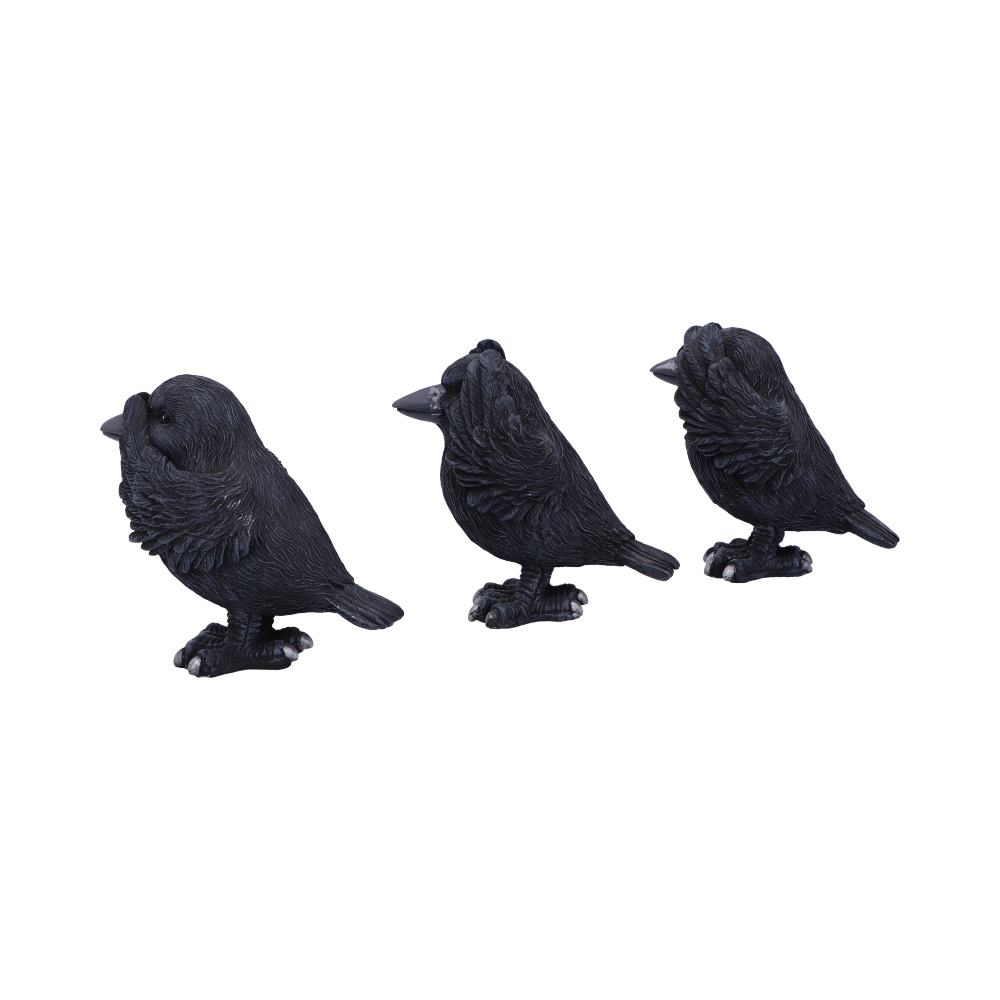 Three Wise Ravens