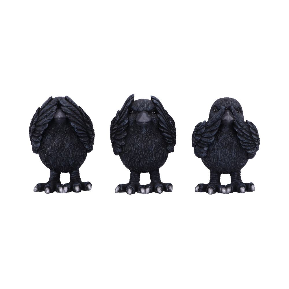 Three Wise Ravens