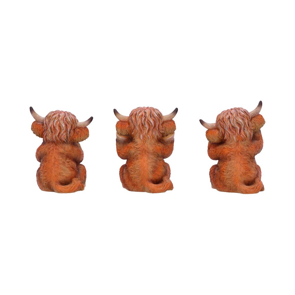 Three Wise Highland Cows