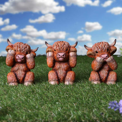 Three Wise Highland Cows