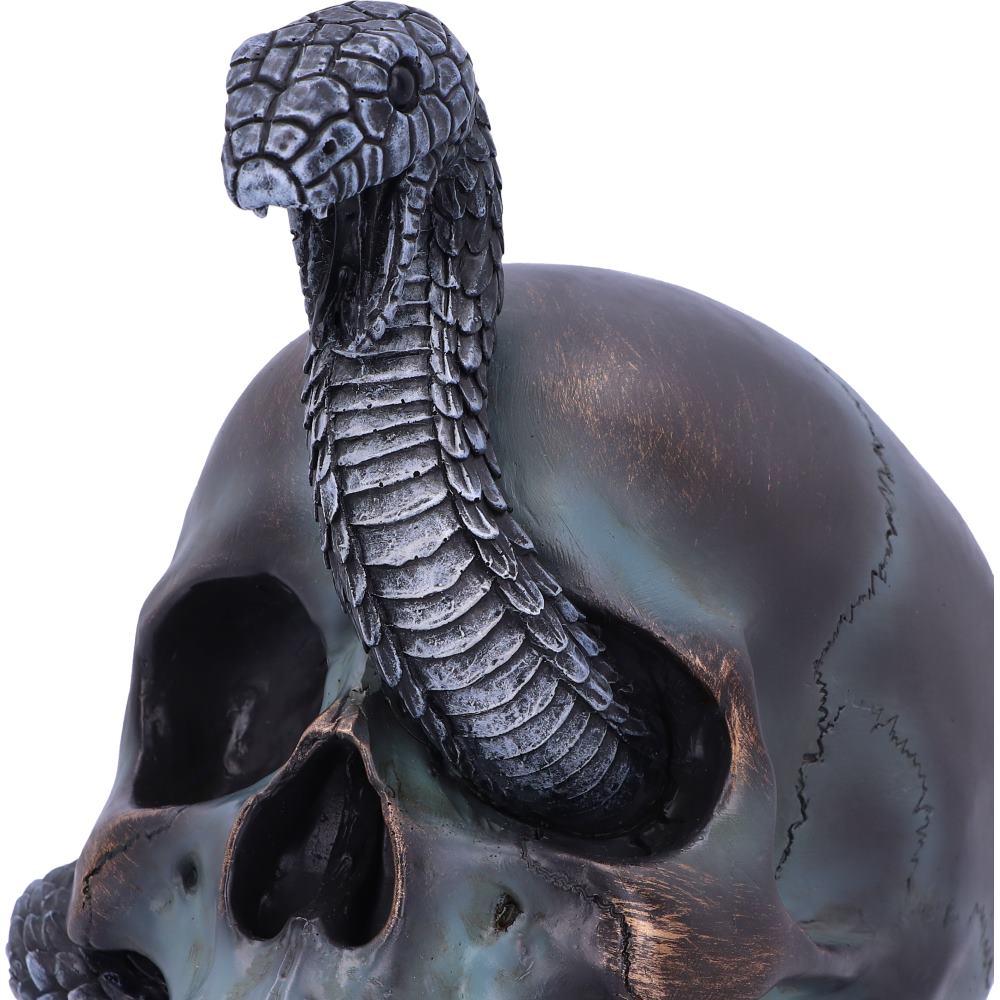 Serpentine Fate Skull