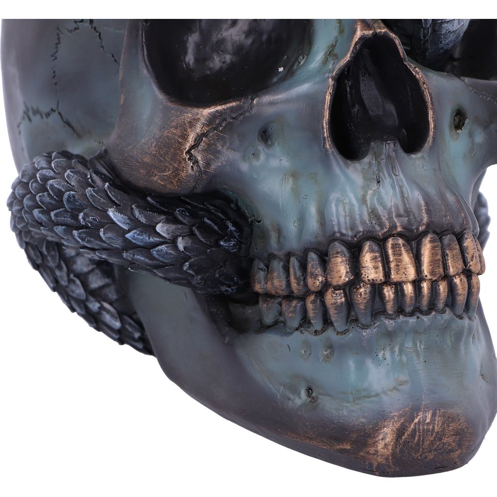 Serpentine Fate Skull