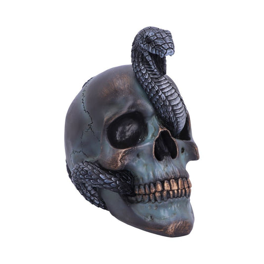 Serpentine Fate Skull