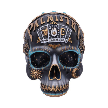 Destiny Palmistry Skull